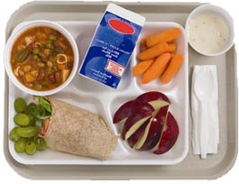 Online School Meal Food Ordering Systems